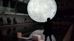 How museums shape research and public perception: International Museum Day