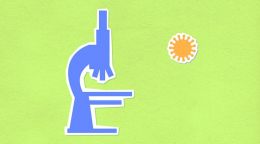 Accelerating Research with Opportunity: Interview with Nikita Goel