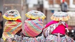 Research and Respect on International Day of the World's Indigenous Peoples