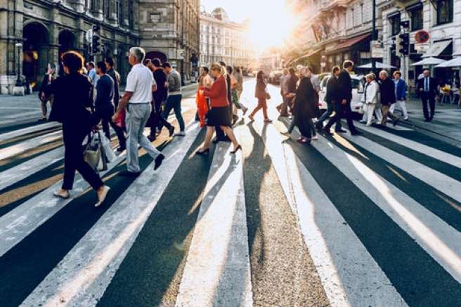 Understanding purpose and audiences Understanding purpose and audiences