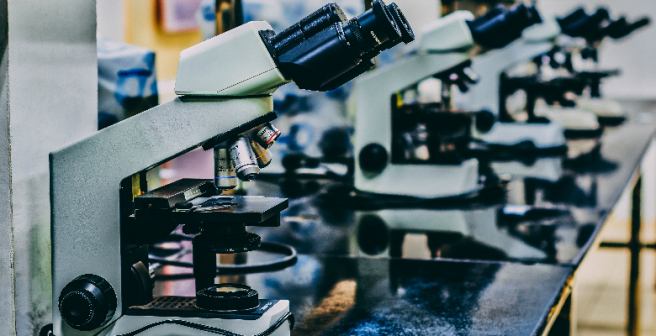2014 Nobel Prize in Chemistry awarded for innovation in fluorescence microscopy 2014 Nobel Prize in Chemistry awarded for innovation in fluorescence microscopy