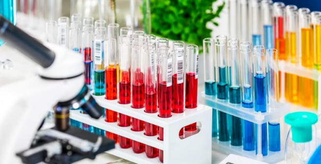 Commonly found synthethic chemicals disrupt physiological processes Commonly found synthethic chemicals disrupt physiological processes