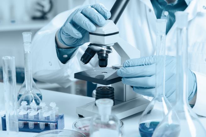 Do immune cells assist in tumor growth? Do immune cells assist in tumor growth?