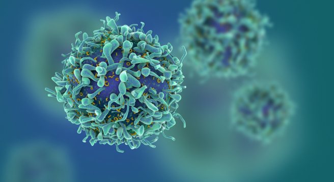 Aging tumor cells may be effective in treating cancer Aging tumor cells may be effective in treating cancer