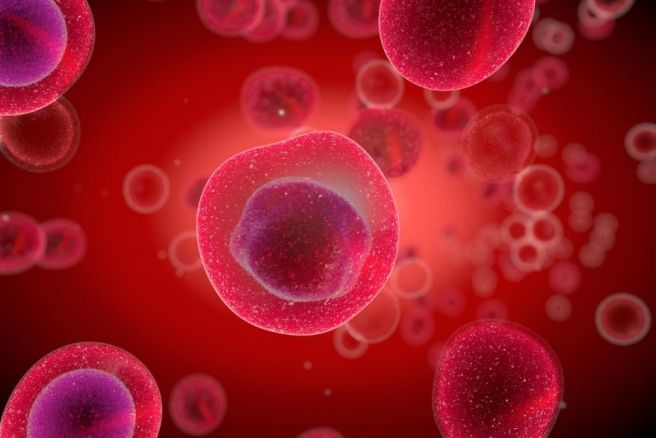 Scientists discover how molecule-sorting station in our cells is formed and maintained Scientists discover how molecule-sorting station in our cells is formed and maintained