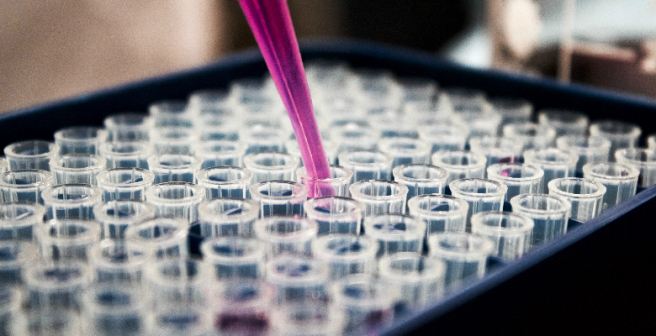 Geneticists to discuss the future of human genome editing in an international summit Geneticists to discuss the future of human genome editing in an international summit
