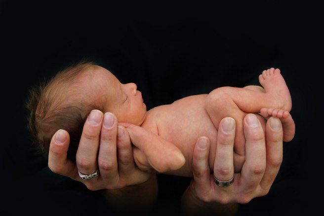 Hope for premature babies as researchers create artificial womb Hope for premature babies as researchers create artificial womb