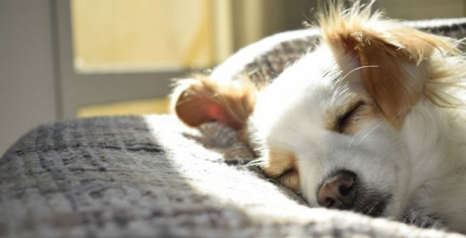 How climate change can affect sleep How climate change can affect sleep