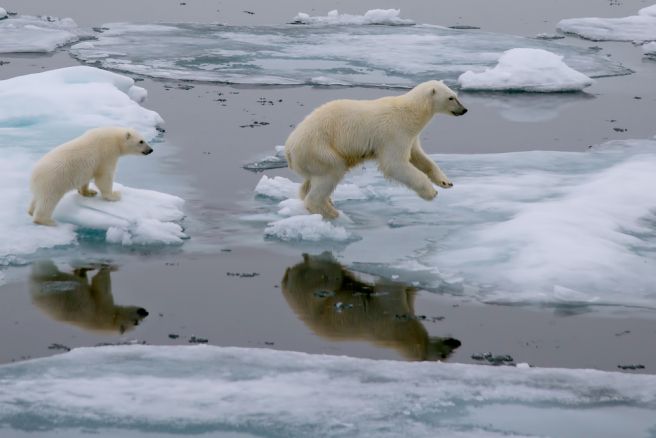 New study asserts climate change is not debatable New study asserts climate change is not debatable