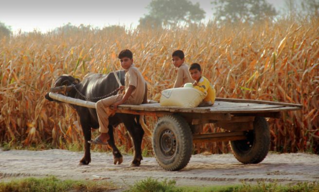 On fieldwork in rural Punjab: Do you see what I see? On fieldwork in rural Punjab: Do you see what I see?