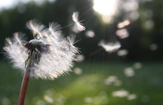 On transitions: Everything at once On transitions: Everything at once