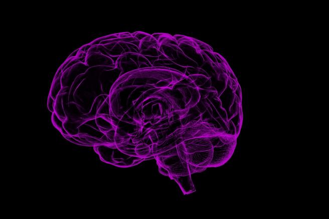 "Social brain" changes structure with evolving concept of fairness "Social brain" changes structure with evolving concept of fairness