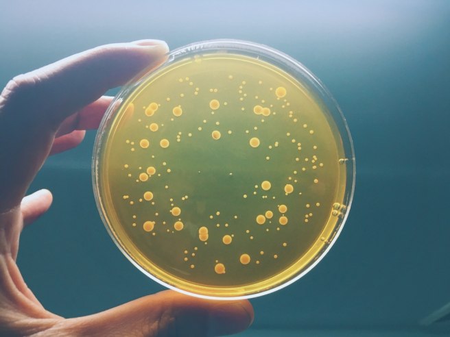Phage therapy: A novel therapeutic strategy for chronic diseases Phage therapy: A novel therapeutic strategy for chronic diseases