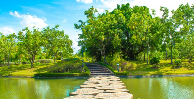 Retraction notices: Stepping stones to science's self-correcting nature Retraction notices: Stepping stones to science's self-correcting nature