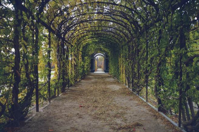 Stepping out into the world – Career navigation advice for researchers Stepping out into the world – Career navigation advice for researchers