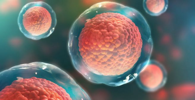 Discovery of novel cancer signaling mechanism and anticancer compound design Discovery of novel cancer signaling mechanism and anticancer compound design