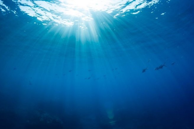 New water-based optical device revolutionizes the field of optics research New water-based optical device revolutionizes the field of optics research