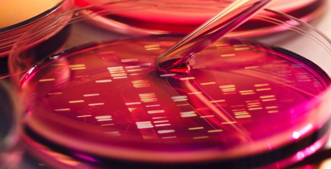 The 2015 Nobel Prize in Chemistry honors DNA repair studies The 2015 Nobel Prize in Chemistry honors DNA repair studies