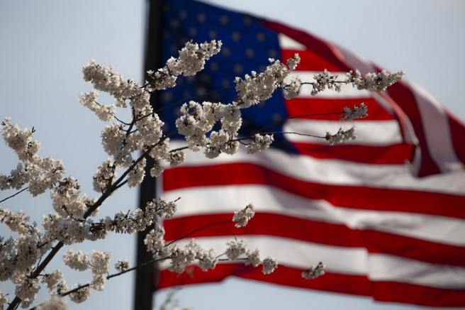 US federal body makes controversial decision to reverse net neutrality US federal body makes controversial decision to reverse net neutrality