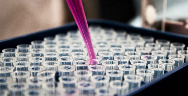 White House launches a joint committee to improve research productivity White House launches a joint committee to improve research productivity