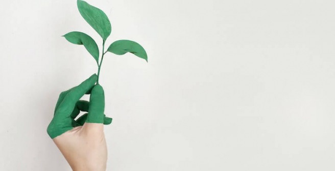 Calling Climate Champions: Apply for Google’s Carbon Removal Research Awards Calling Climate Champions: Apply for Google’s Carbon Removal Research Awards